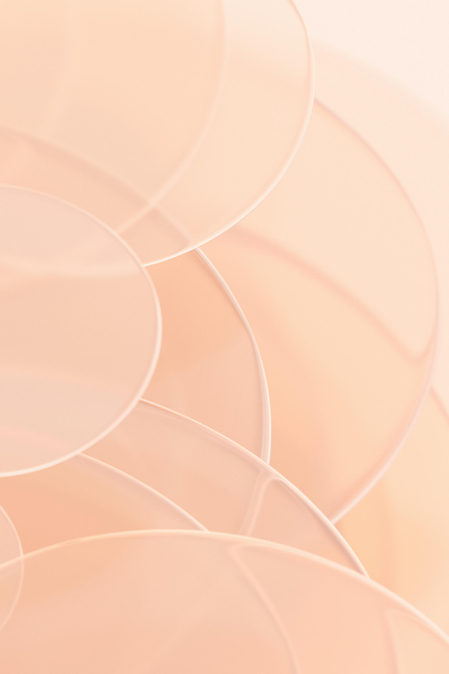 Somatic Sessions Image Somatic Sessions Image